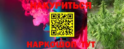 стаф Кулебаки