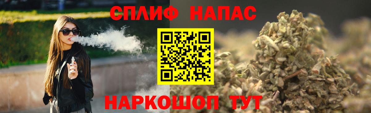 Конопля MAZAR  Канабис марихуана  Донской  МАРИХУАНА сатива  Вход с VPN 